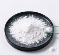 Global Ultra-Fine Organic Gypsum Market Valued at US$213 Million in 2026, with Powder Form Dominating Demand and Agriculture Applications Projected to Grow at 6.2% CAGR Through 2032